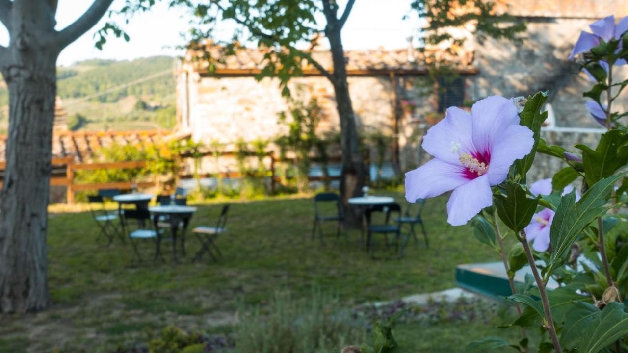 Bed & Breakfast Torre Nel Chianti Greve in Chianti